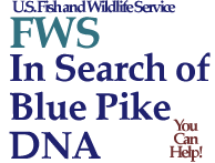 Blue Pike Extinction