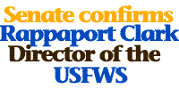 Senate approves Rappaport