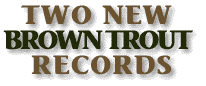 Two new Brown records